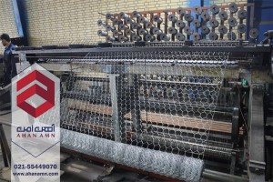 توری فرنگی مرغی چیست ؟